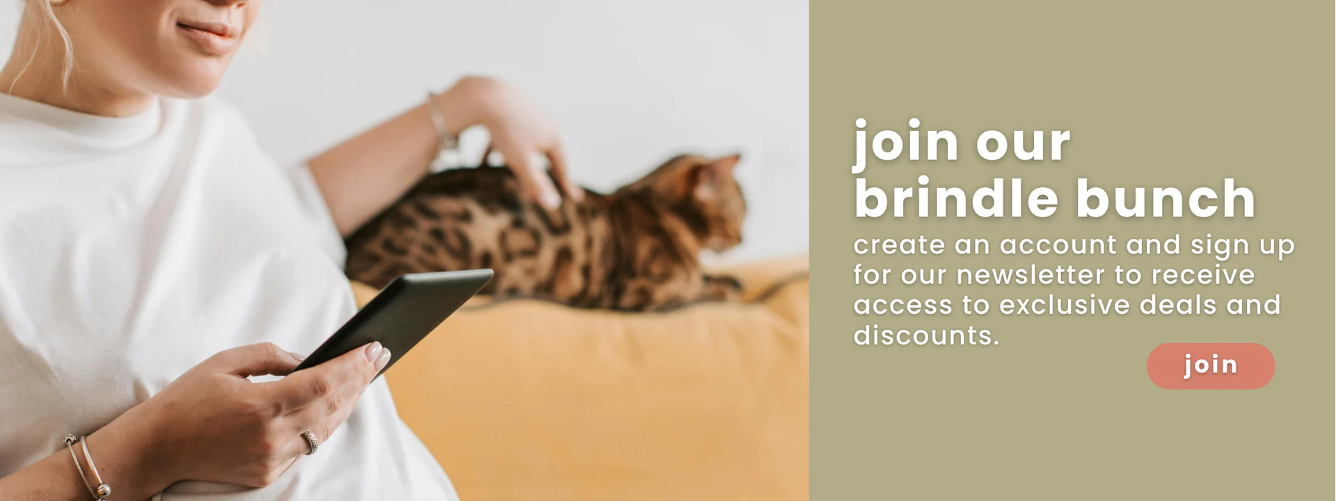Elevate Your Pet's Daily Lifestyle